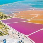 EL FESTIVAL QUE NINGÚN AMANTE DE LA CARNE PUEDE PERDERSE » 2023