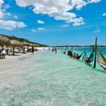 Debuta la nueva línea del SUV de tamaño completo de Ford, la Expedition del 2025 »