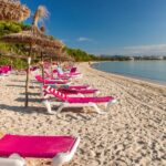 ¿Cuáles son las Marcas con Más Quejas sobre Problemas de Motor en el 2024? »