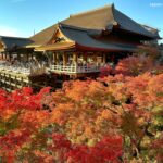 ¿Qué sedanes del 2025 no enchufables tienen mejor manejo y eficiencia en la ciudad? »