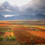 Viajes en tren panorámico para ver el otoño desde la ventanilla »