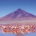 Las 5 ciudades latinoamericanas más recomendadas para el turismo gastronómico en el 2026 »