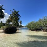 Las 5 islas más hermosas del Mediterráneo para el 2026 »