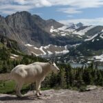 Las 5 ciudades de EE.UU. con la mejor escena gastronómica en el 2026 »