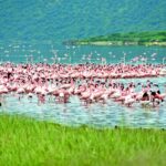 Las 5 ciudades de EE.UU. perfectas para un city trip de fin de semana »